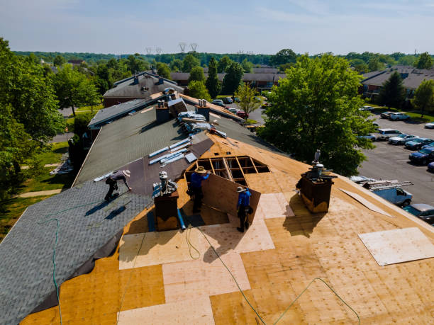 24/7 Emergency Metal Roofing experts in Lewisburg, TN